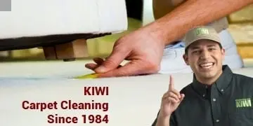 carpet cleaning with two techs