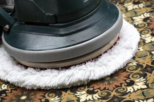 $8 Per Room Carpet Cleaning