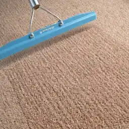Carpet Rakes