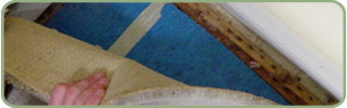 Expert Berber Carpet Repair Services