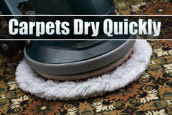 Pattison Rug Cleaning Services