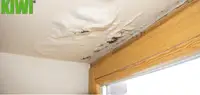 Ceiling Damage