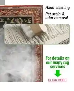 KIWI cleaning process