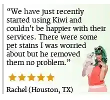 Rug Cleaning Review KIWI Houston