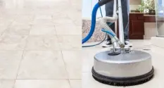 tile floor mold removal