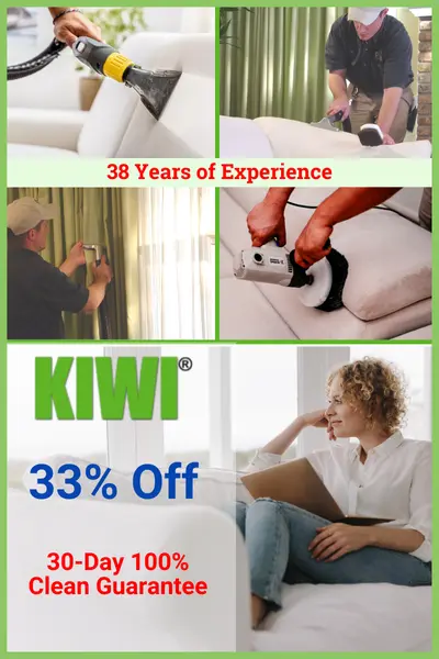 Upholstery Cleaning Cost