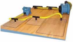 water damage wood floor drying