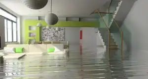 KIWI water damage restoration